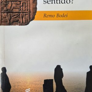 A História tem um sentido?
