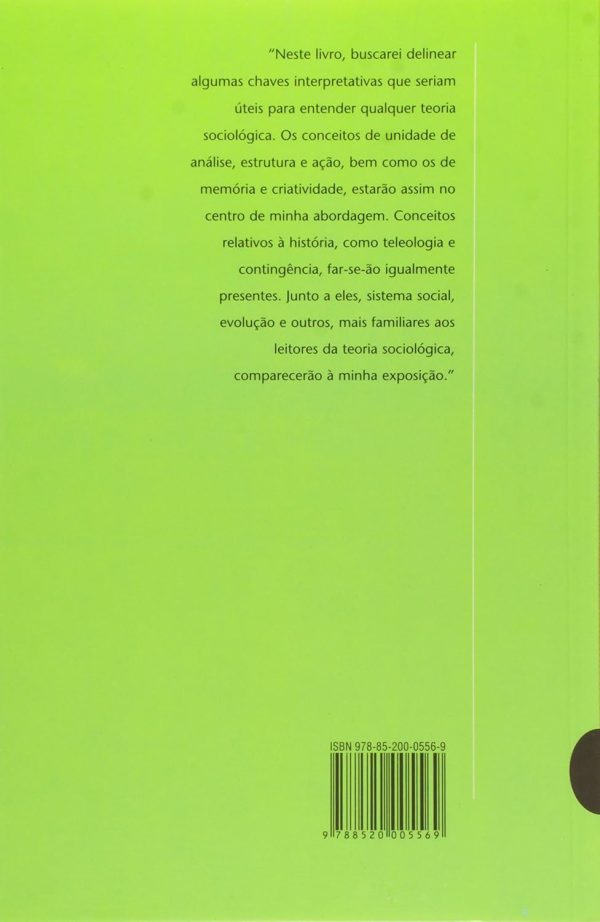 Teorias Sociológicas no Século XX - Imagem 2
